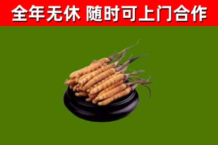 沁源烟酒回收冬虫夏草.jpg